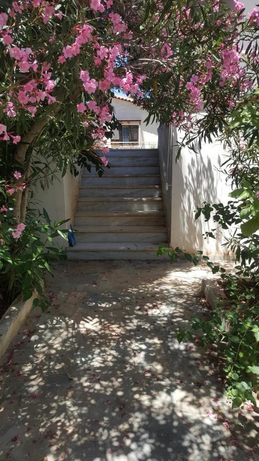 Joan'S Airport Apartment อาร์เตมีดา ภายนอก รูปภาพ